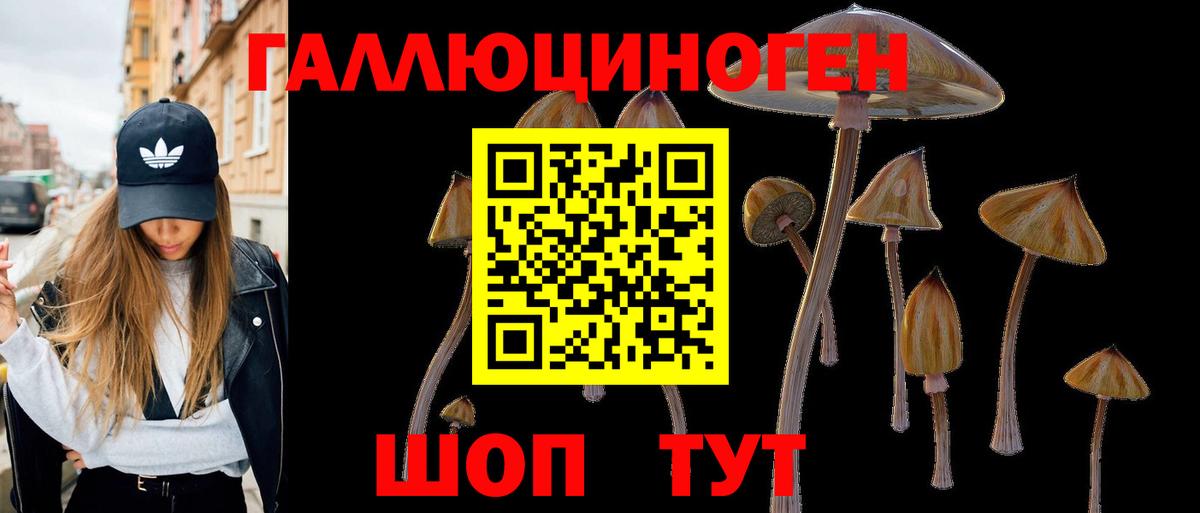 Щёлково  Галлюциногенные грибы Magic Shrooms  Вход с VPN 